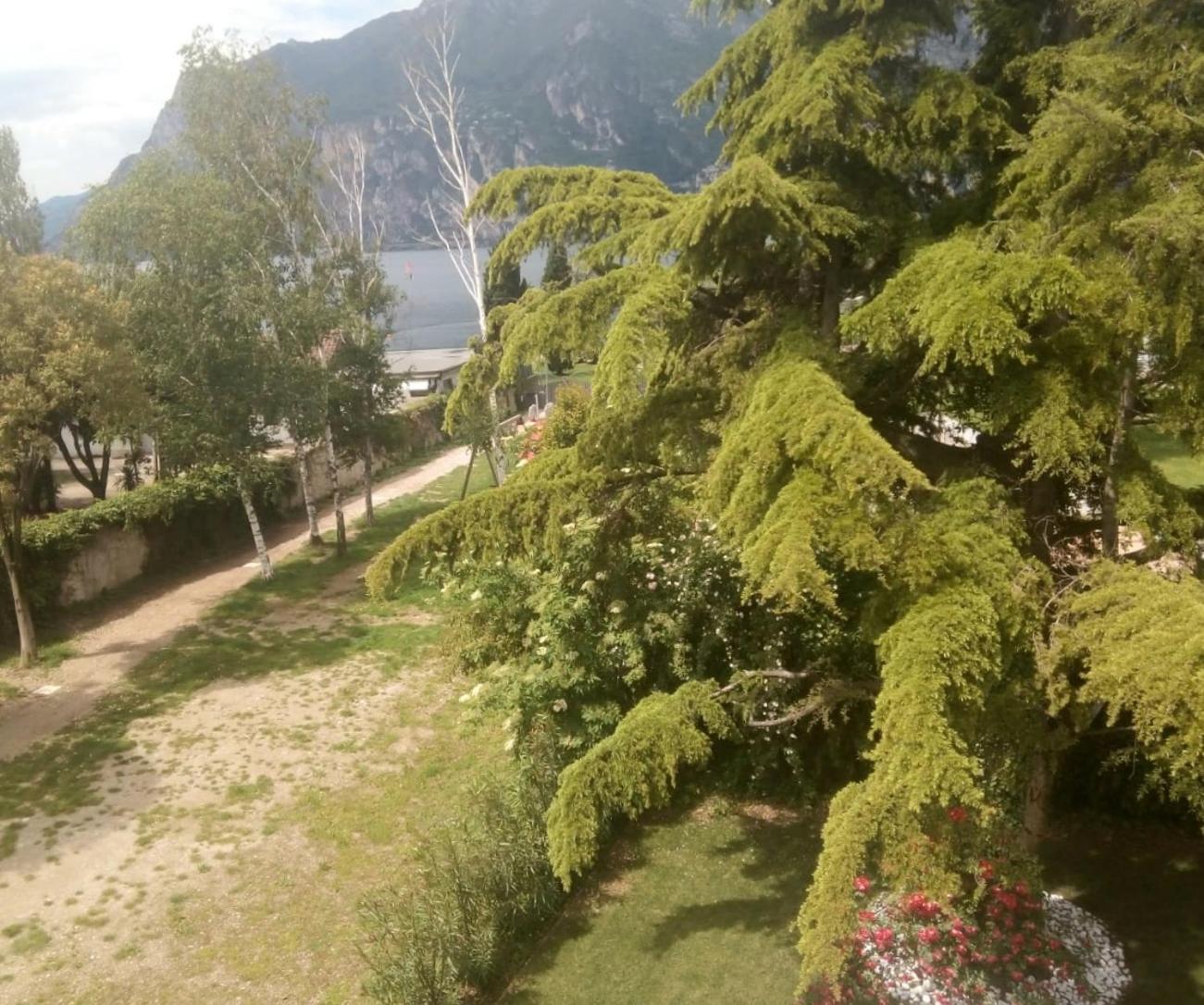 Villa Torbole Torbole Sul Garda Exteriér fotografie